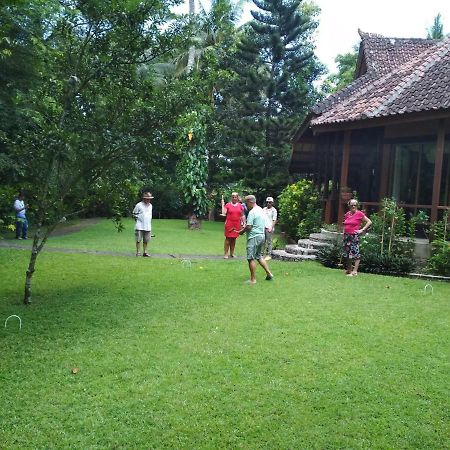 The Country House سينغيغي المظهر الخارجي الصورة