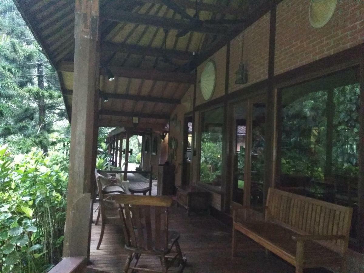 The Country House سينغيغي المظهر الخارجي الصورة