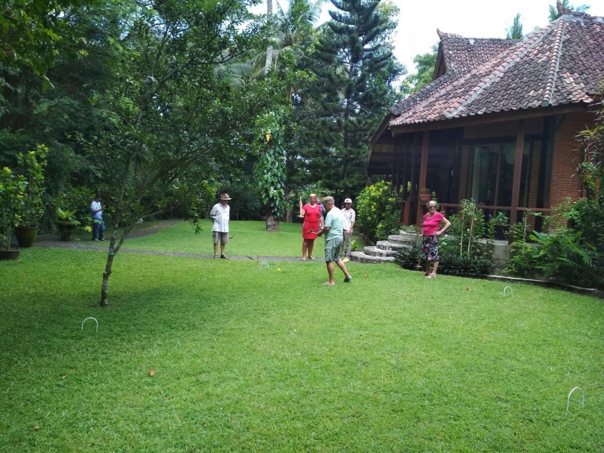 The Country House سينغيغي المظهر الخارجي الصورة