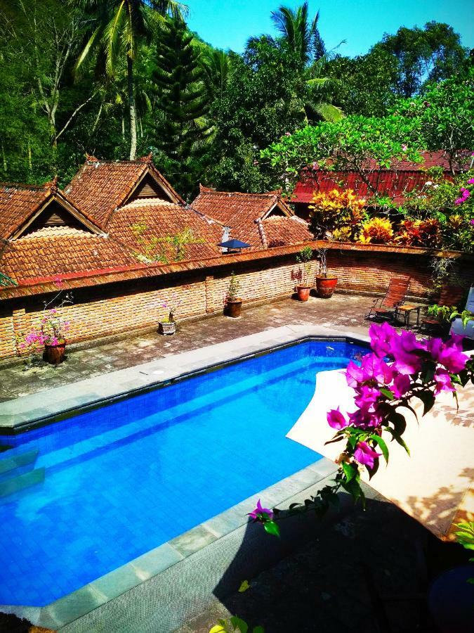 The Country House سينغيغي المظهر الخارجي الصورة